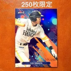 高橋礼　直筆サイン　カード　5枚限定　エポック　ソフトバンクホークス　BBM 高橋礼 直筆サイン カード 5枚限定 エポック ソフトバンクホークス BBM