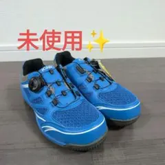 Item thumbnail for item 0af4bf70-2ad6-4cb1-9413-161a53d24314