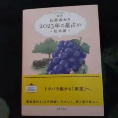 Item thumbnail for item 8558b1e5-7e1f-4c8b-9da9-ad6c19709ddf