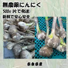 ▲無農薬 にんにく 奈良県産 500g 新鮮 おいしい 安心 安全 農家直送26のサムネイル
