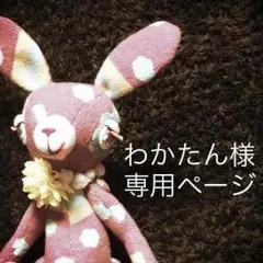 わかたん様専用ページ