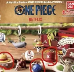 ワンピース めじるしアクセサリー　チョッパー帽子、麦わら帽子、悪魔の実