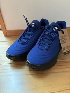 新品未使用NIKE エアマックス Dn ウィンタライズド WTR28.0㎝