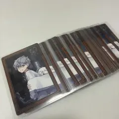 カラフルピーチ　ヒロ　トレカ25枚　カラフルピ－チミュージアム