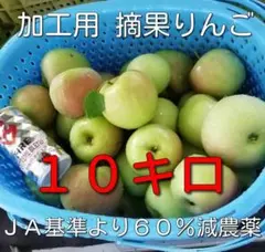 sakura様専用　加工用　摘果りんご　約10キロ　長野県産　生食不可のサムネイル