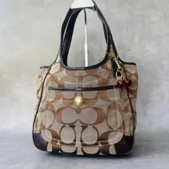 Y2K COACH Ergo Signature Hobo Bag BROWN