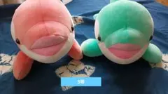 神戸須磨シーワールド オルカくじ シャチ 限定カラー あおば さくら 3