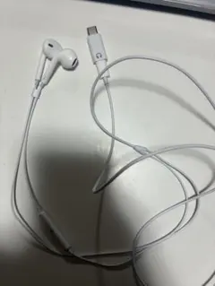 ライトニングイヤホン＆タイプCアダプタ付き