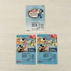 ディズニーリゾートライン　フリーきっぷ　バケーションパッケージデザイン