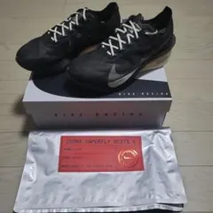 Item thumbnail for item 5bd4b67b-1b73-462d-bb13-493307f8b466