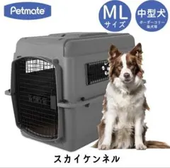 Item thumbnail for item ca41ea4b-2d0d-4eb0-8487-4ffd0d4c3795