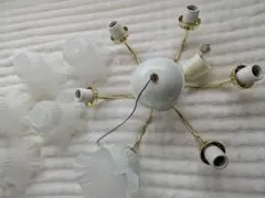 照明作家 谷 俊幸 
