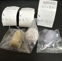 Item thumbnail for item 56142d89-5b18-42d1-81ef-204a0309c46e