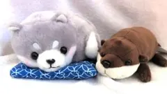 カワウソ三兄弟ぬいぐるみ Amazon.co.jp: カワウソ兄弟 ぬいぐるみ マスコット 全3種セット 約