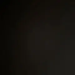 コーちゃん専用