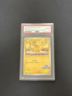 2026年最新】コンテストピカチュウの人気アイテム - メルカリ