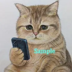 色鉛筆画(13.5×19cm)「…おねむニャ…Zzz」猫・子猫♡ - メルカリ