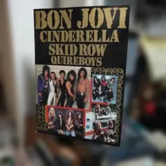 2026年最新】bon jovi パンフレットの人気アイテム - メルカリ