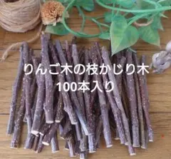 りんご木の枝♪洗浄済み♪かじり木 ♪100本入り♪のサムネイル