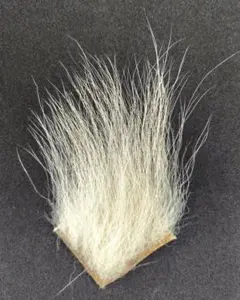 Item thumbnail for item b9ce8ddb-1cdd-40e1-94a9-91d73e06e773