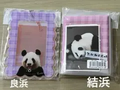 アドベンチャーワールド パンダ 彩浜 ステッカーセット 新品未使用未 