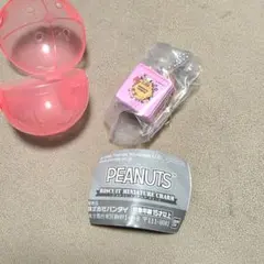 再値下げ☆Peanuts　ビスケットミニチュアチャーム