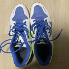 Item thumbnail for item 12ac750c-7da9-4502-a625-5086be189881