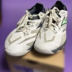 Item thumbnail for item 8e382984-a2dd-45d9-a363-ce08faba3fe0