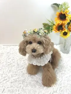 Item thumbnail for item 3ee7a5fc-2cda-49b9-8386-ce9f1ae19b70