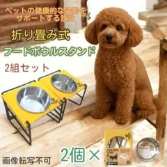 【２組セット フードボウルスタンド ボウル付き】 折り畳み式 えさ台 腰痛防止のサムネイル