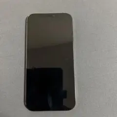 Apple iPhone 12 Pro グラファイト