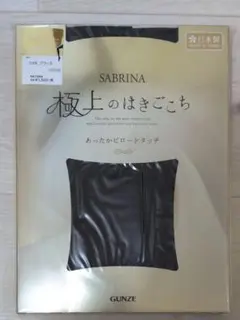GUNZE SABRINA 極上のはきごこち ブラック 110デニール