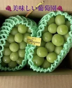 みふた断捨離中様専用シャインマスカット4房
