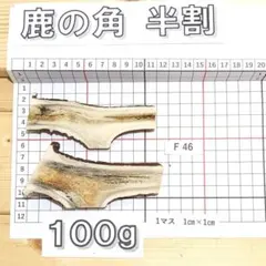 鹿の角 半割 F46 100g 兵庫県産 鹿角 鹿のツノ しかつののサムネイル