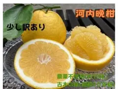 愛媛県産 河内晩柑 農薬不使用　4kg ＜少し訳あり＞のサムネイル