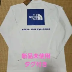 THE NORTH FACE 長袖ロンtブルーロゴ
