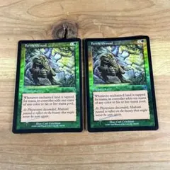 MTG 土を食うもの/Terravore [ODY版] 日本語 3枚セット - メルカリ