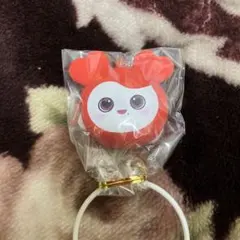 TWICE LOVELYS シリコンミニウォレット　チェヨン
