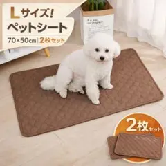 Item thumbnail for item 45a15a62-afb0-4a78-9a1d-8dceb9a673f0