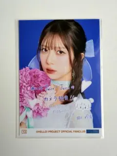 Item thumbnail for item 1c3b7afa-6afd-417c-9967-71517eeb2483