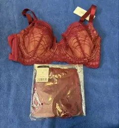 【新品】HEAVENJAPANセルフィットE70 ショーツMセットのサムネイル
