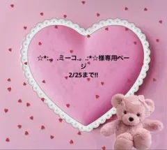 ☆*:.。.ミーコ.。.:*☆様専用ページ