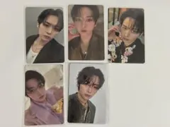 stray kids リノ トレカ セット hollow