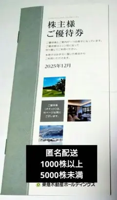 【最新版】東急不動産ホールディングス株主優待券 2026年12月発行