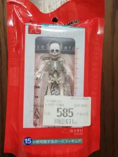 リーメント　ポーズスケルトン Hito01 15可動