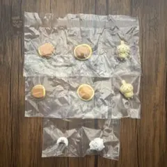 u*8様 ちいかわ　スヤスヤますこっと2 うさぎ　ちいかわ