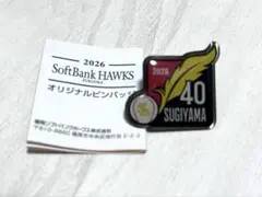 福岡ソフトバンクホークス オリジナルピンバッジ 杉山一樹投手