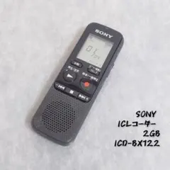 2026年最新】ICD-BX122の人気アイテム - メルカリ