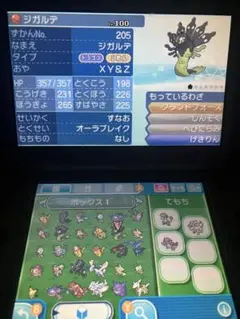配布ポケモン