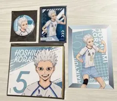 ハイキュー10周年記念展 ミニ色紙コレクション　缶バッジ　ポストカード　星海